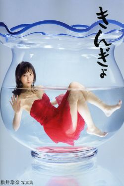 金银瓶1-3三免片